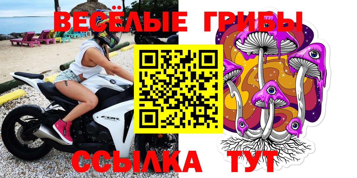 Псилоцибиновые грибы MAGIC MUSHROOMS  Галлюциногенные грибы Psilocybe  Орехово-Зуево  Вход с VPN 
